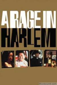 a_rage_in_harlem