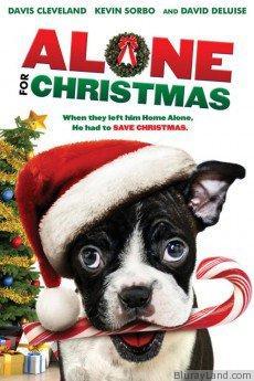 Alone for Christmas HD Movie Download