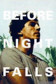 Before Night Falls HD Movie Download