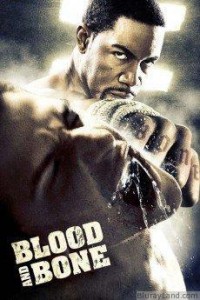 blood_and_bone