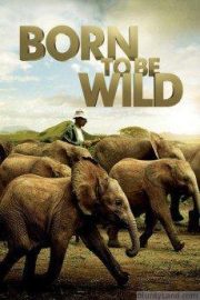 Born to Be Wild HD Movie Download