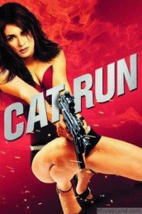 cat_run