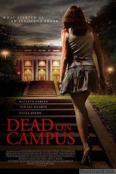 Dead on Campus HD Movie Download