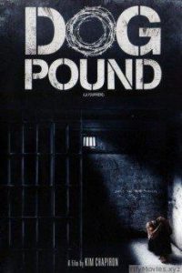 dog_pound