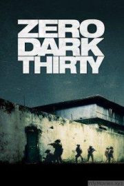 Zero Dark Thirty HD Movie Download