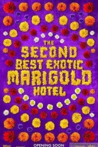 the_second_best_exotic_marigold_hotel