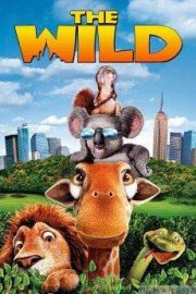 The Wild HD Movie Download