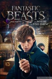 Fantastic Beasts and Where to Find Them HD Movie Download
