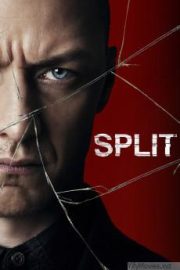 Split HD Movie Download