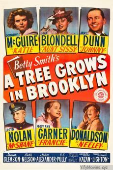 A Tree Grows in Brooklyn HD Movie Download