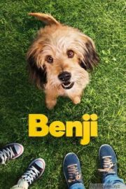Benji HD Movie Download