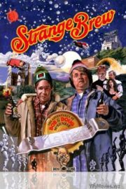 Strange Brew HD Movie Download