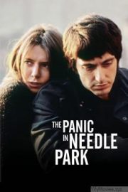 The Panic in Needle Park HD Movie Download