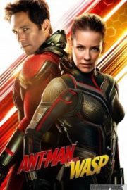 Ant Man and the Wasp HD Movie Download